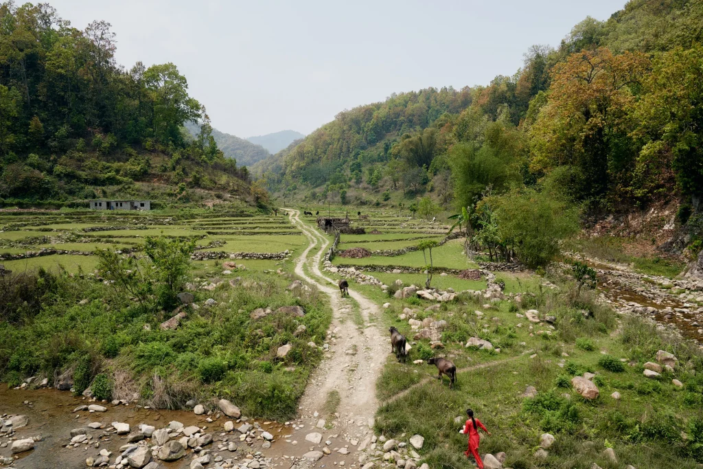 Last year, Airbnb guests traveled to more cities than ever before